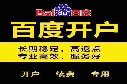 百度竞价代运营的长期效益与价值探讨
